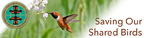 Save Our Shared Birds - International Cooperation is the Key